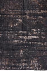 Wood Textures